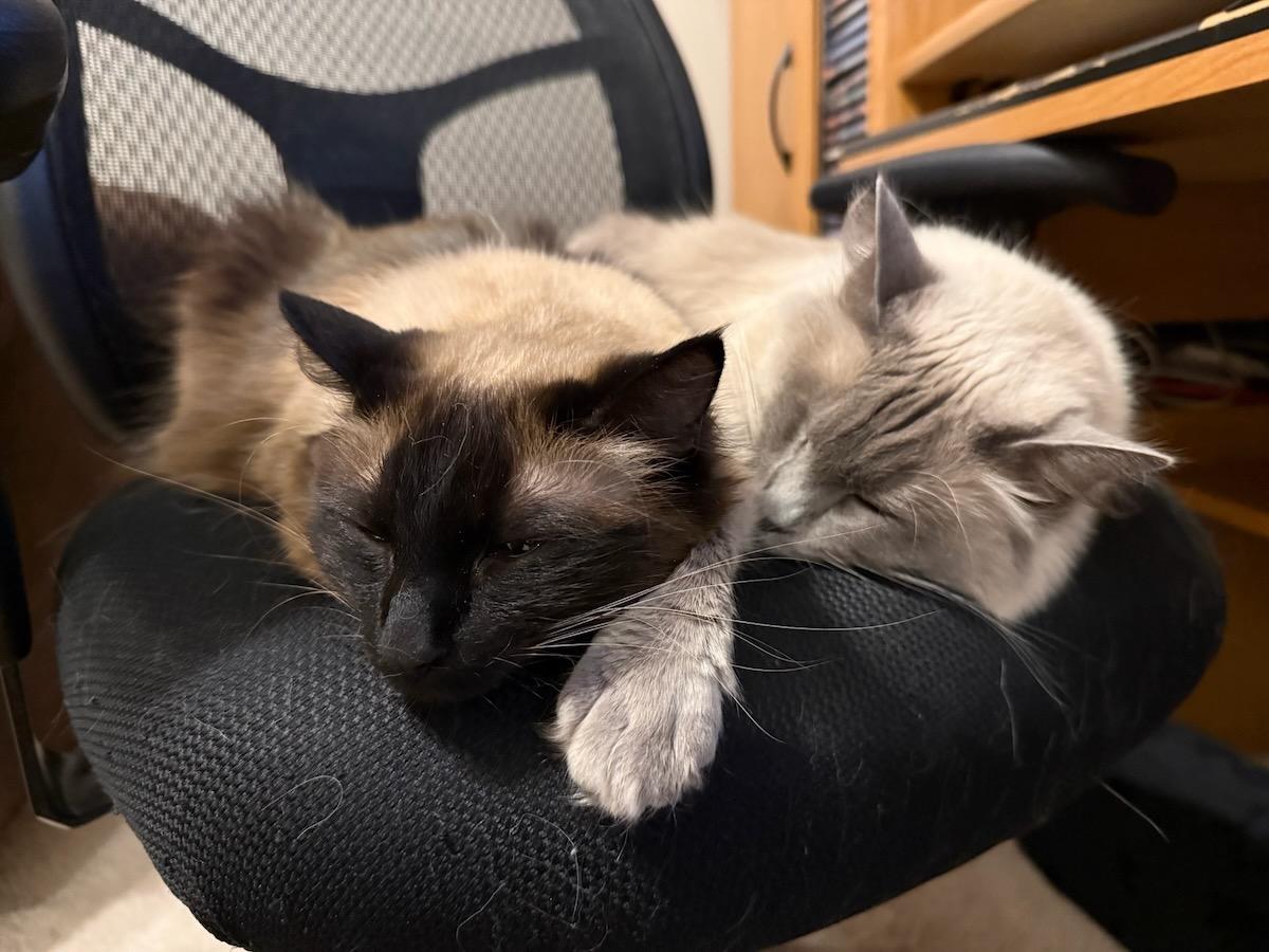 Nicolette and Cosette