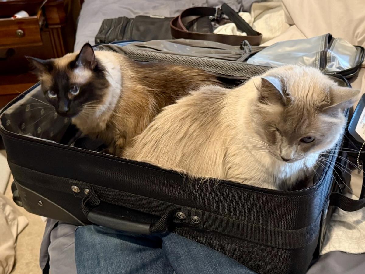 They're ready to travel with me.