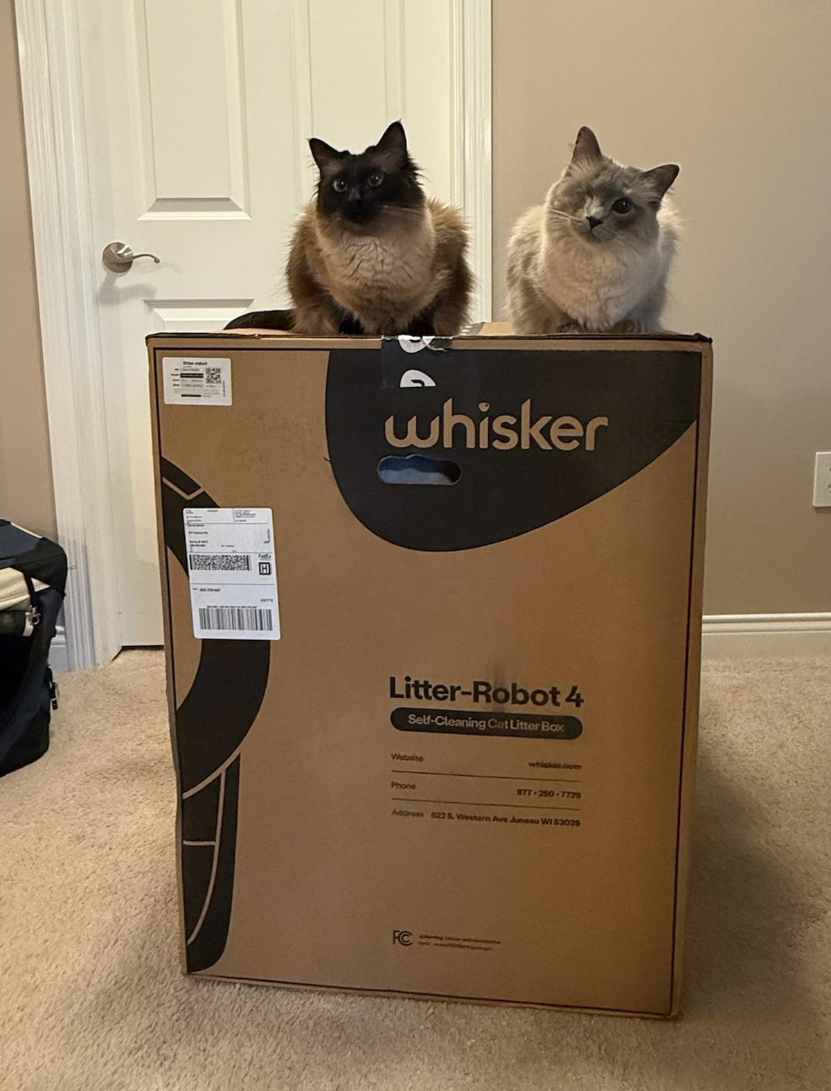 Nicolette and Cosette on the robot's box.